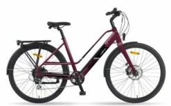 Vélo électrique Larrun Citadel Violet