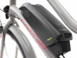TREK BIKES Vélo électrique Trek Townie Go! Gris 250 W 26 Pouces -Composants, périphériques de vélo de route Soldes Magasin TownieGo5i gris batterie big