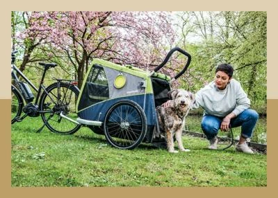 Remorque Croozer Peppa Pour Chien 5 Remorque Croozer Peppa Pour Chien – Image 5